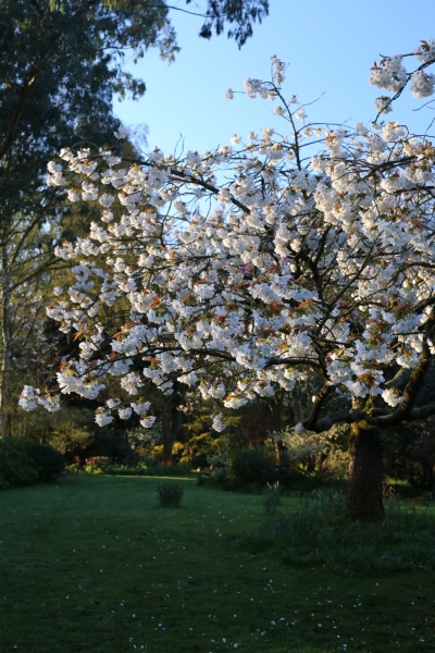 Hillcroft at Dilwyn